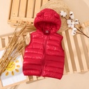 Toddler Boy/Toddler Girl Hooded Cotton-Padded Jacket Vest