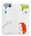 Cozy Muslin Blanket