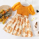 Kid Girl Floral Print Splice Smocked Short-sleeve Dress(5nb23-20567636)